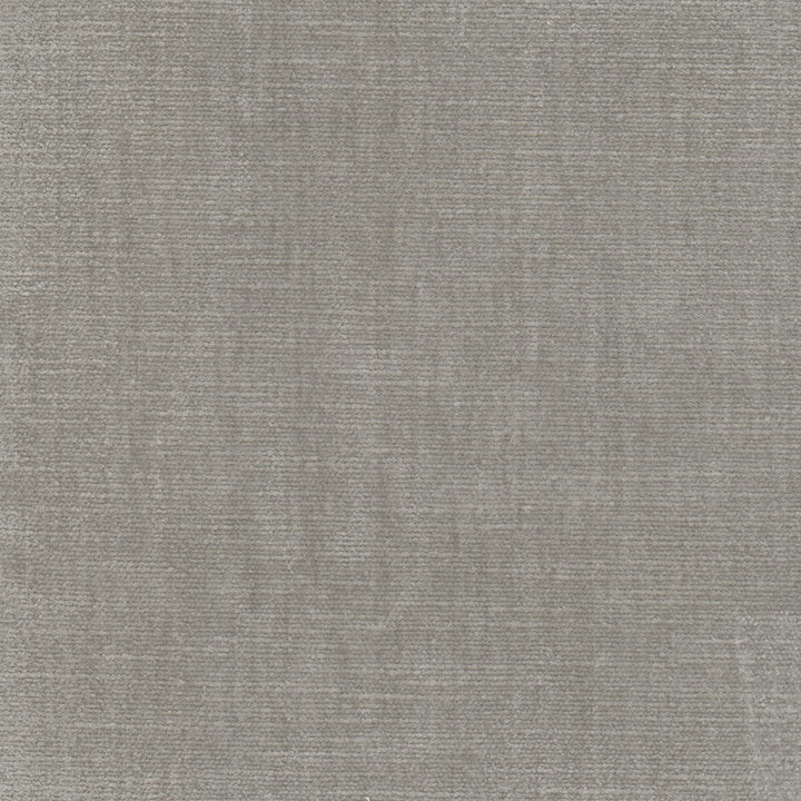 Bountiful 9 Nickel by Stout Designer Fabric LIVING IS EASY GREY/SLATE 63%POL 37%COT INDIA Horizontal: 0.000 and Vertical: 0.000 54 in - Swanky Fabrics -