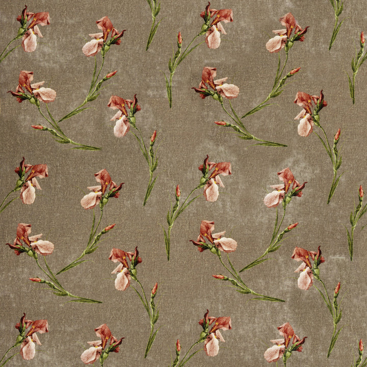 Baker Iris Mole by G P & J Baker Designer Fabric SIGNATURE VELVETS VISCOSE - 55%;COTTON - 45% Italy Horizontal: 27.58 and Vertical: 23.246 55.16 - Swanky Fabrics -