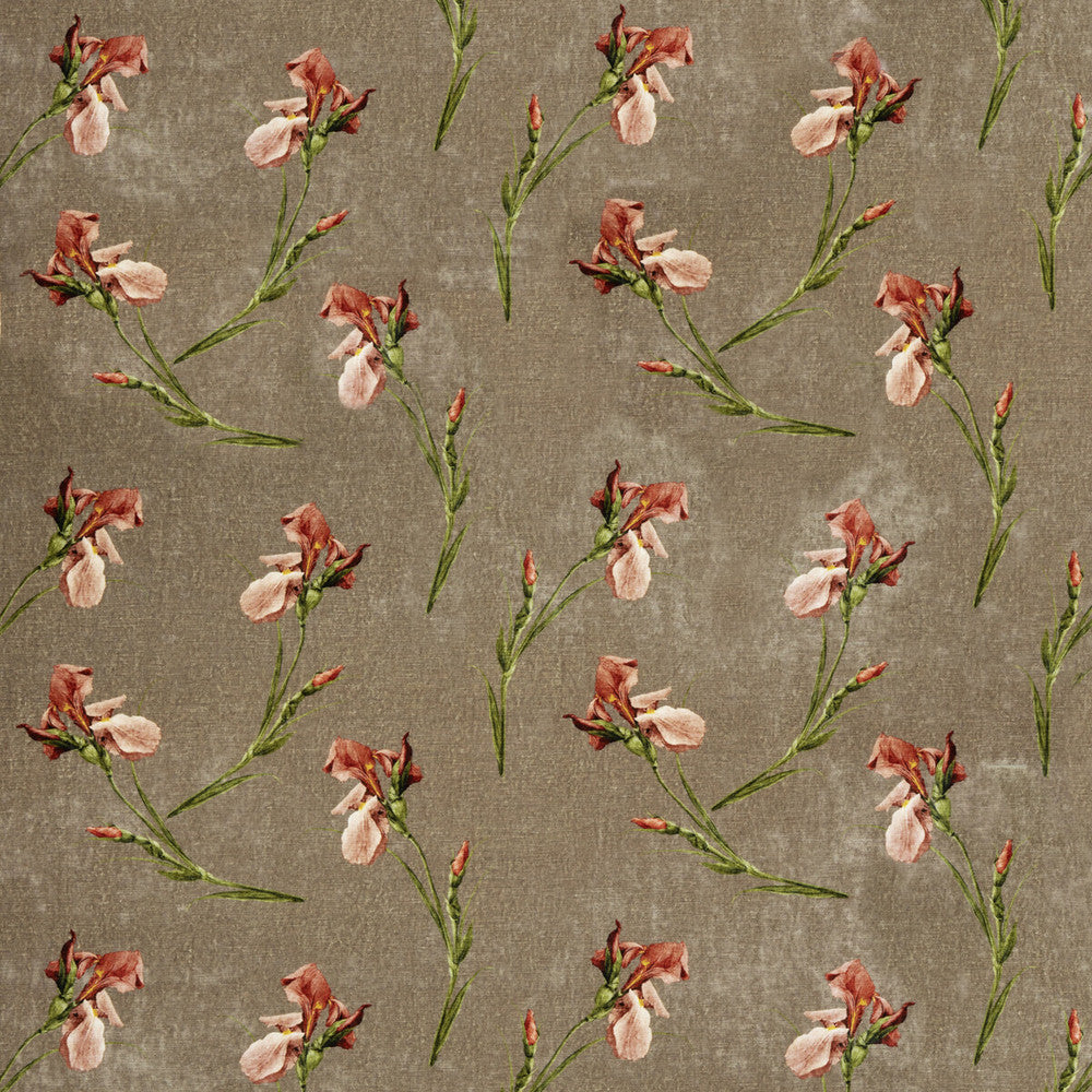 Baker Iris Mole by G P & J Baker Designer Fabric SIGNATURE VELVETS VISCOSE - 55%;COTTON - 45% Italy - Horizontal: 27.58 and Vertical: 23.246 55.16 - Swanky Fabrics -