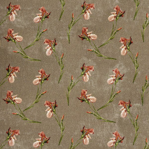 Baker Iris Mole by G P & J Baker Designer Fabric