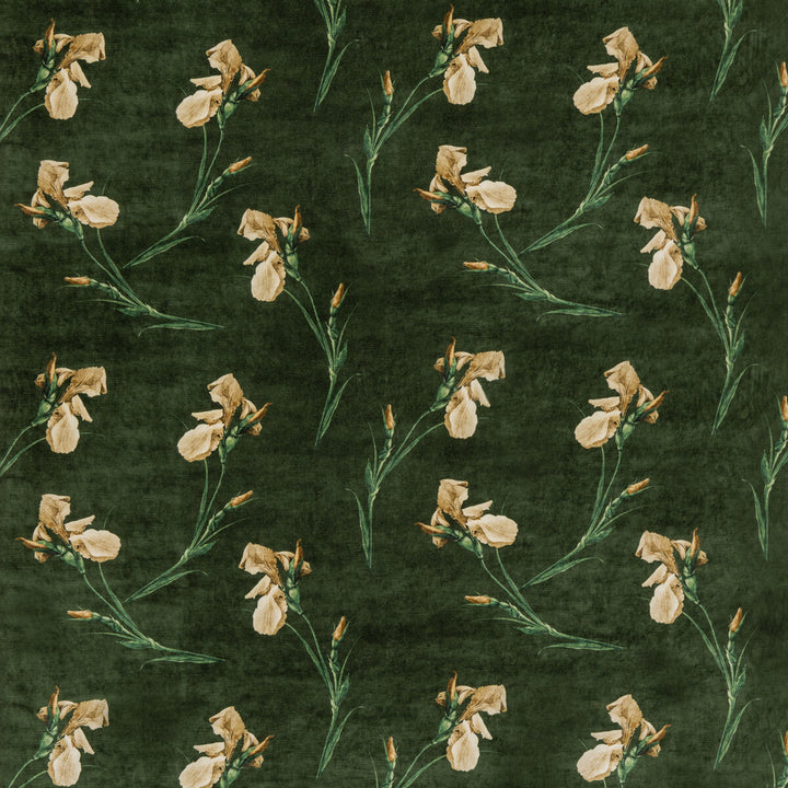 Baker Iris Emerald by G P & J Baker Designer Fabric SIGNATURE VELVETS VISCOSE - 55%;COTTON - 45% Italy Horizontal: 27.58 and Vertical: 23.246 55.16 - Swanky Fabrics -