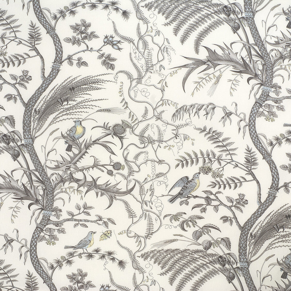 Bird And Thistle Cotton Print Gray by Brunschwig & Fils Fabric Brunschwig & Fils Fabric Bird And Thistle Cotton Print GrayFabric COTTON - 100% France </p><p>Repeat: H: 53.5, V: 36 54 - Fabric Carolina -
