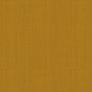 Toile Sauvageonne Amber by Brunschwig & Fils Designer Fabric