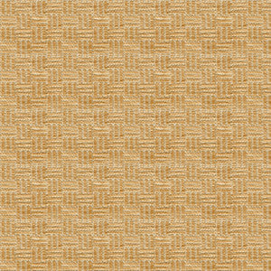 Reed Texture Biscuit by Brunschwig & Fils Designer Fabric