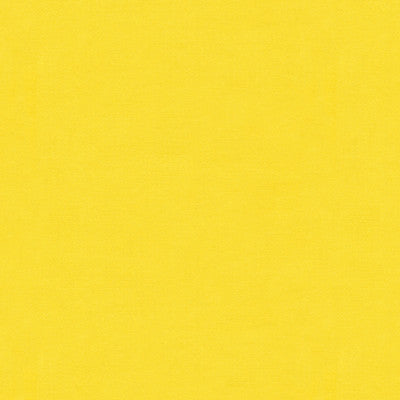 BR-81079.E.0 by Brunschwig & Fils Fabric Brunschwig & Fils Fabric BR-81079.E.0Fabric COTTON - 68%;SILK - 32% France </p><p>Repeat: H: , V: 50 - Fabric Carolina -