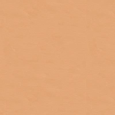Satin La Tour Saumon by Brunschwig & Fils Fabric Brunschwig & Fils Fabric Satin La Tour SaumonFabric COTTON - 68%;SILK - 32% France </p><p>Repeat: H: , V: 50 - Fabric Carolina -
