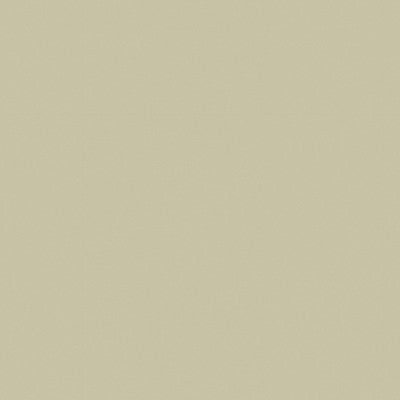 Brunschwig & Fils - Upholstery - BR-81079.ZZ.0 - Upholstery - COTTON - 68%;SILK - 32% - France </p><p>Repeat: H: , V: 27.5 21 - My Fabric Connection -