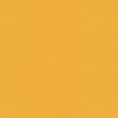 Ninon Taffetas Sunburst by Brunschwig & Fils Fabric Brunschwig & Fils Fabric Ninon Taffetas SunburstFabric SILK - 100% France </p><p>Repeat: H: , V: 50 - Fabric Carolina -