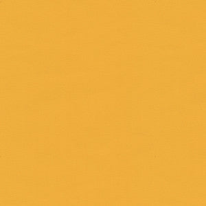 Ninon Taffetas Sunburst by Brunschwig & Fils Designer Fabric