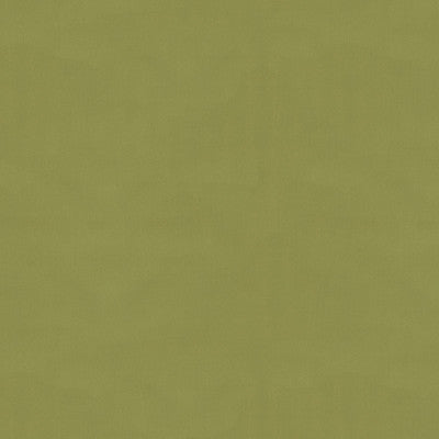 Ninon Taffetas Fern by Brunschwig & Fils Fabric Brunschwig & Fils Fabric Ninon Taffetas FernFabric SILK - 100% France </p><p>Repeat: H: , V: 50 - Fabric Carolina -