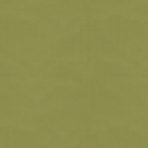 Ninon Taffetas Fern by Brunschwig & Fils Designer Fabric