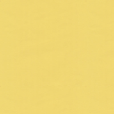 Brunschwig & Fils - Upholstery - BR-81081.JJI.0 - Upholstery - SILK - 100% - France </p><p>Repeat: H: , V: 27.5 21 - My Fabric Connection -