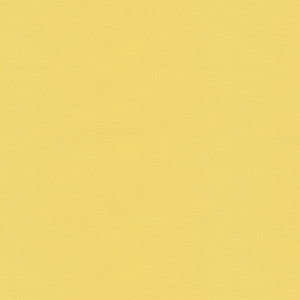 Ninon Taffetas Jaune BR-81081.JJI.0 By Brunschwig & Fils Designer Fabric