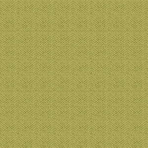 Clarise Woven Texture Lichen by Brunschwig & Fils Designer Fabric