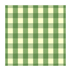 Exchequer Cotton Check Jade by Brunschwig & Fils Designer Fabric