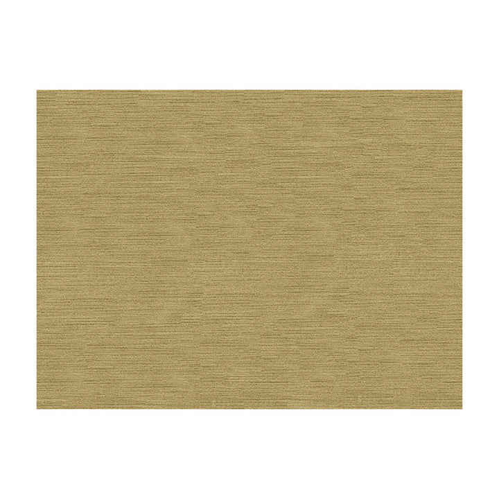 Quillan Velvet Dove by Brunschwig & Fils Fabric Brunschwig & Fils Fabric Quillan Velvet DoveFabric VISCOSE - 100% Italy </p><p>Repeat: H: , V: 55 - Fabric Carolina -