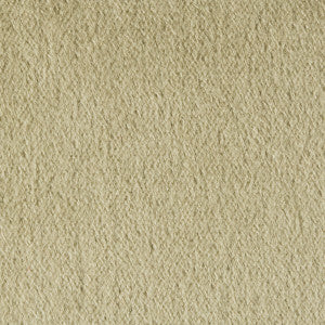 Autun Mohair Velvet Eucalyptus by Brunschwig & Fils Designer Fabric