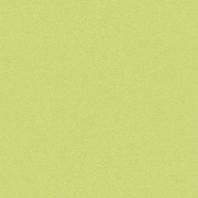 Autun Mohair Velvet Celery by Brunschwig & Fils Fabric Brunschwig & Fils Fabric Autun Mohair Velvet CeleryFabric MOHAIR - 100% Netherlands </p><p>Repeat: H: , V: 55 - Fabric Carolina -
