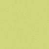 Autun Mohair Velvet Celery by Brunschwig & Fils Designer Fabric