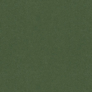 Autun Mohair Velvet Bayleaf by Brunschwig & Fils Designer Fabric