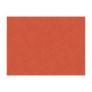 Lubeck Cotton Velvet Shell by Brunschwig & Fils Designer Fabric