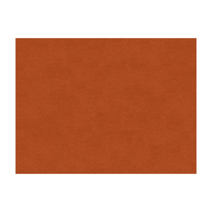 Lubeck Cotton Velvet Adobe by Brunschwig & Fils Fabric Brunschwig & Fils Fabric Lubeck Cotton Velvet AdobeFabric COTTON - 100% Netherlands </p><p>Repeat: H: , V: 55 - Fabric Carolina -