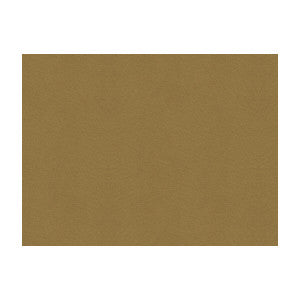 Lubeck Cotton Velvet Spice by Brunschwig & Fils Designer Fabric