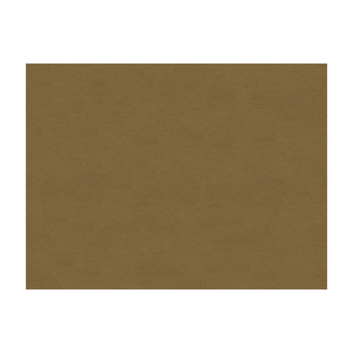Lubeck Cotton Velvet Fawn by Brunschwig & Fils Fabric Brunschwig & Fils Fabric Lubeck Cotton Velvet FawnFabric COTTON - 100% Netherlands </p><p>Repeat: H: , V: 55 - Fabric Carolina -
