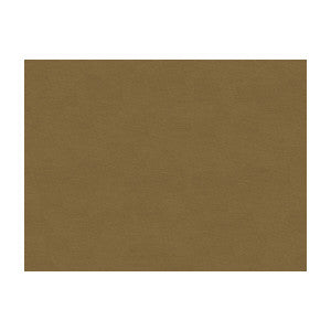 Lubeck Cotton Velvet Fawn by Brunschwig & Fils Designer Fabric