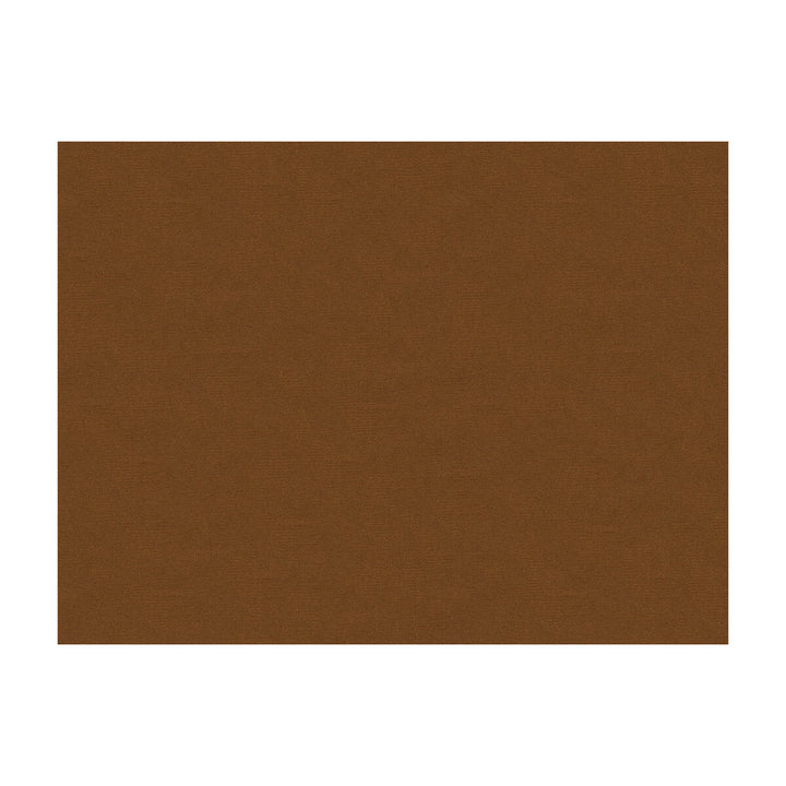 Lubeck Cotton Velvet Allspice by Brunschwig & Fils Fabric Brunschwig & Fils Fabric Lubeck Cotton Velvet AllspiceFabric COTTON - 100% Netherlands </p><p>Repeat: H: , V: 55 - Fabric Carolina -