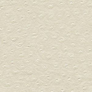Brandon White by Norbar Designer Fabric