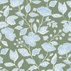 Brett 1 Aloe by Stout Designer Fabric