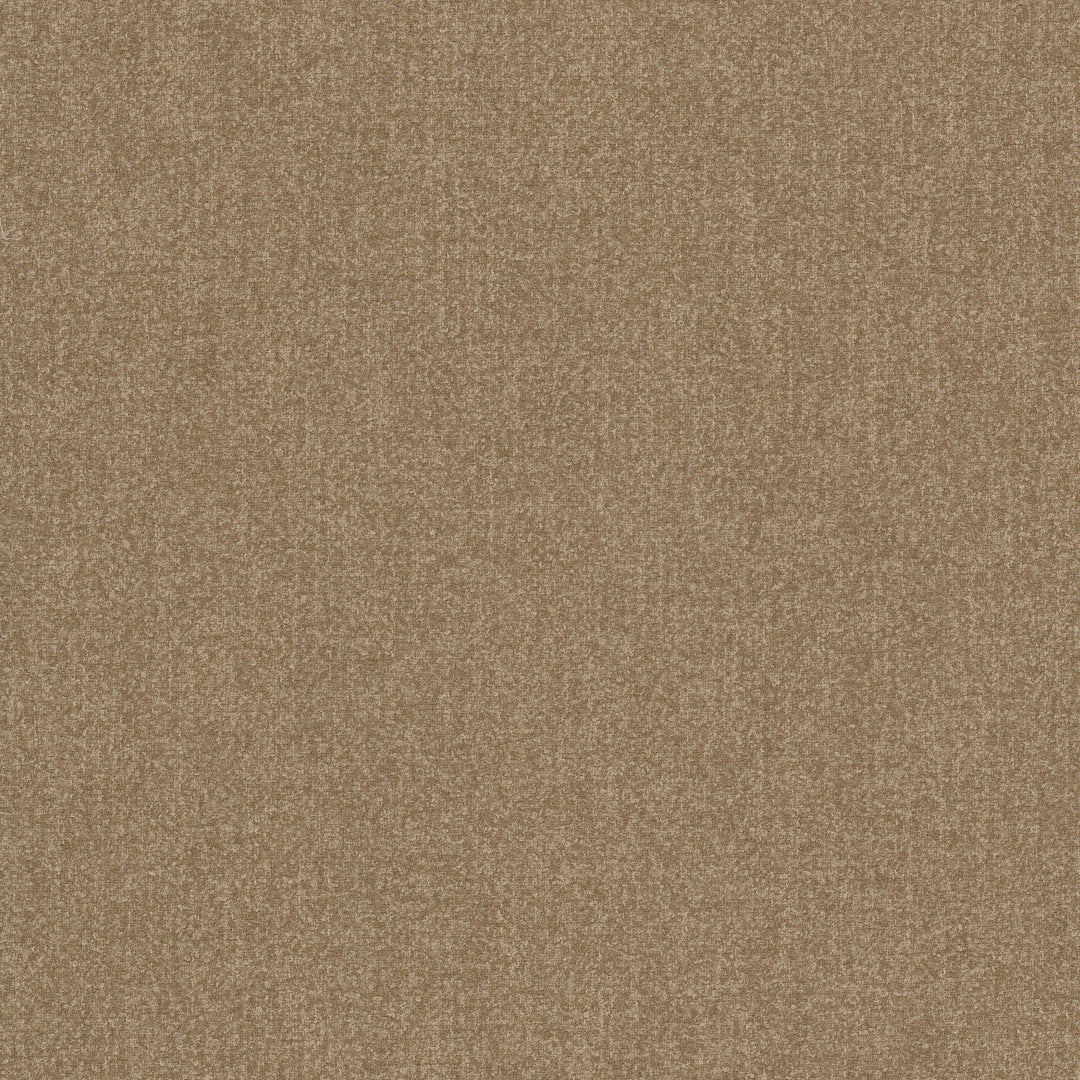 Brevity 2 Camel by Stout Designer Fabric