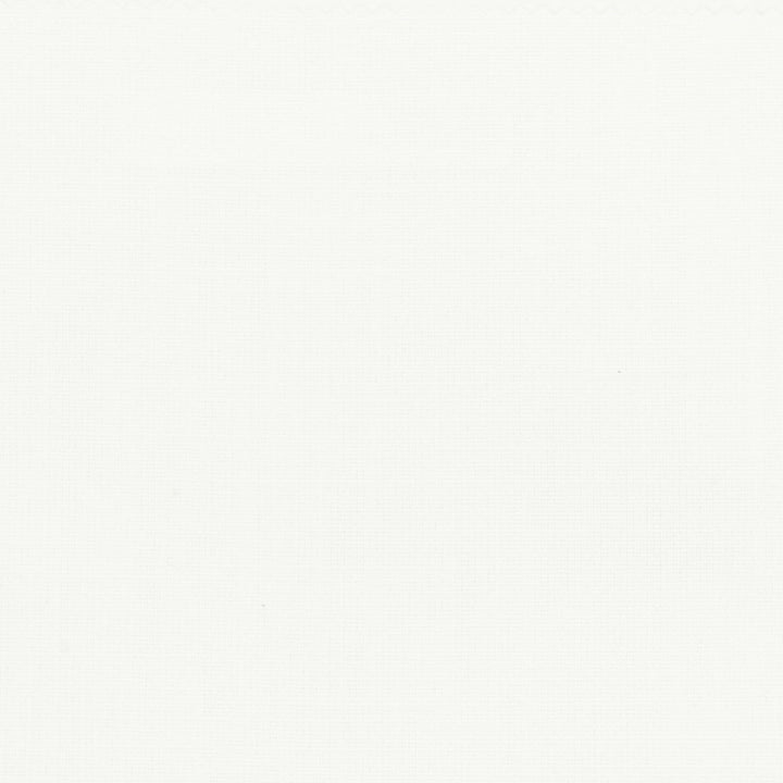 Bromiley 4 White by Stout Designer Fabric COLOR APPEAL 100%POL INDIA Horizontal: 0.000 and Vertical: 0.000 54 in - Swanky Fabrics -