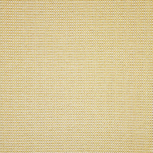 Brockton # 355 Popcorn by Maxwell Designer Fabric