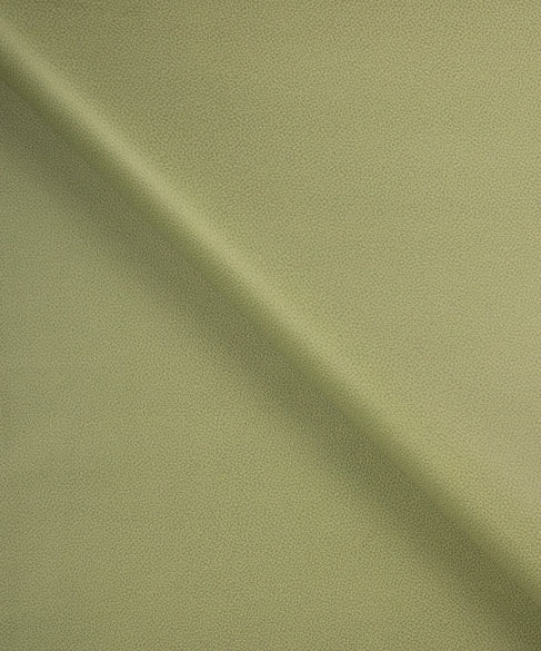 Buckaroo 12104 by Barrow Industries Designer Fabric