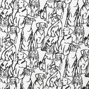 Kravet Basics Buddy-1101 by Kravet Designer Fabric