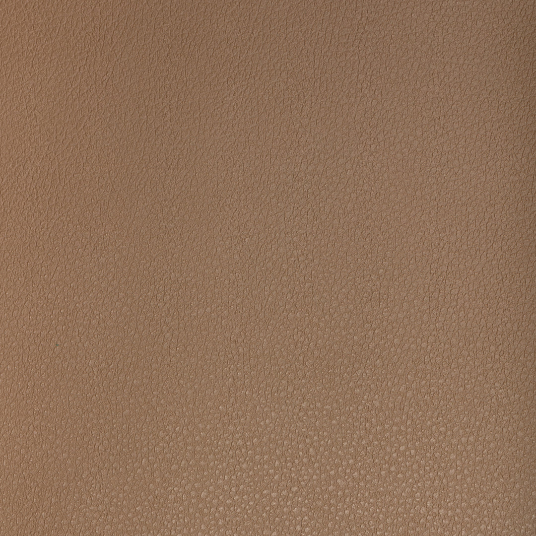 Kravet Design - Buff-6 BUFF.6.0 by Kravet Design Designer Fabric