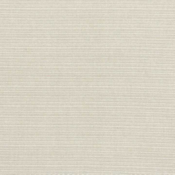Bugstone 1 Ecru by Stout Designer Fabric TEXTURE APPEAL 100%COT INDIA Horizontal: 0.000 and Vertical: 0.000 54 in - Swanky Fabrics -
