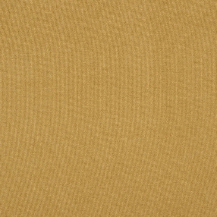 Burlington 74J7031 by JF Crypton Designer Fabric Crypton Binder 100% Polyester China 50000 Horizontal: and Vertical: 54 - Swanky Fabrics -