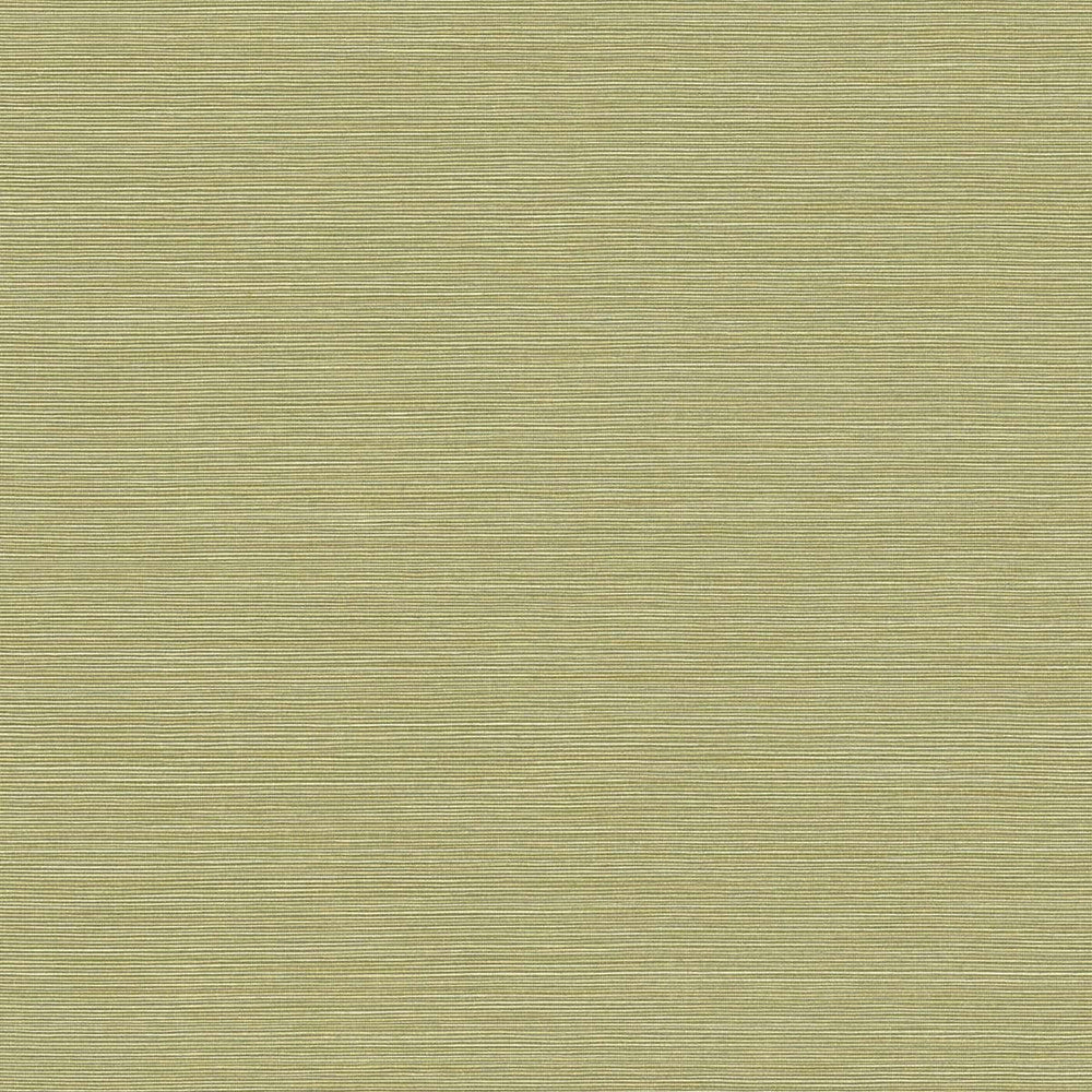Coastal Hemp Lime Moss BV30424 by Seabrook Designs Designer Wallpaper