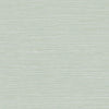 Coastal Hemp Tender Green BV30444 by Seabrook Designs Designer Wallpaper