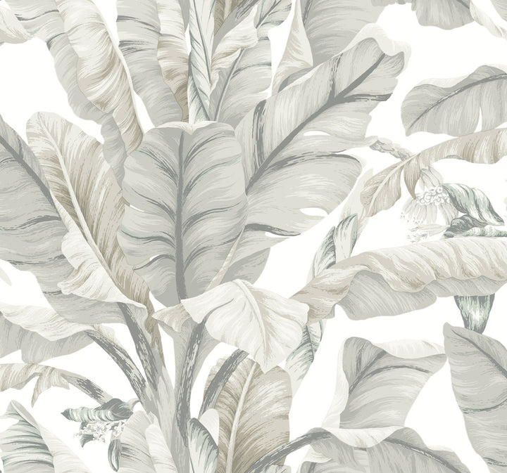 Banana Leaf White & Cream Wallpaper by Inspired by Color Designer Black & White Resource Library Covers about 60.8 square feet 27-in by 27-ft long roll Prepasted 25.25 - Swanky Fabrics -