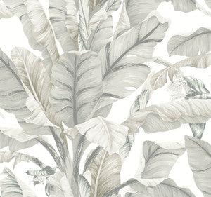 Banana Leaf White & Cream Wallpaper by Inspired by Color Designer