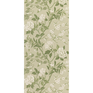Emperor'S Garden Soft Green by G P & J Baker Designer Wallcovering