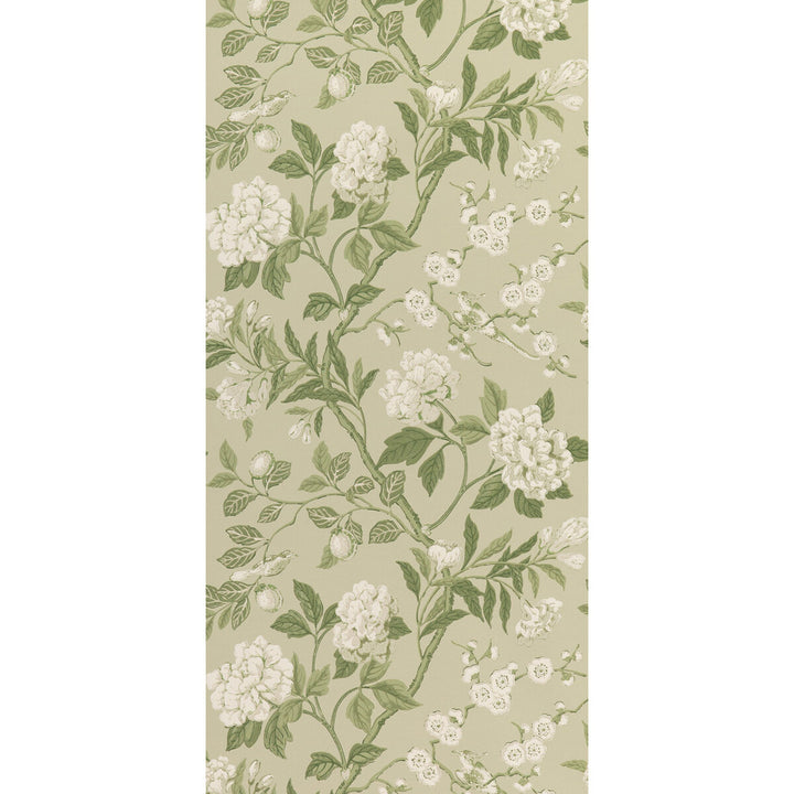 Emperor'S Garden Soft Green by G P & J Baker Designer Wallcovering SIGNATURE II WALLPAPERS NON WOVEN - 100% United Kingdom Horizontal: 20.488 and Vertical: 24.034 20.488 - Swanky Fabrics -