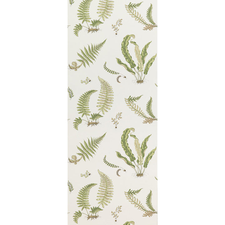 Ferns Leaf by G P & J Baker Designer Wallcovering SIGNATURE II WALLPAPERS NON WOVEN - 100% United Kingdom Horizontal: 20.488 and Vertical: 20.882 20.488 - Swanky Fabrics -