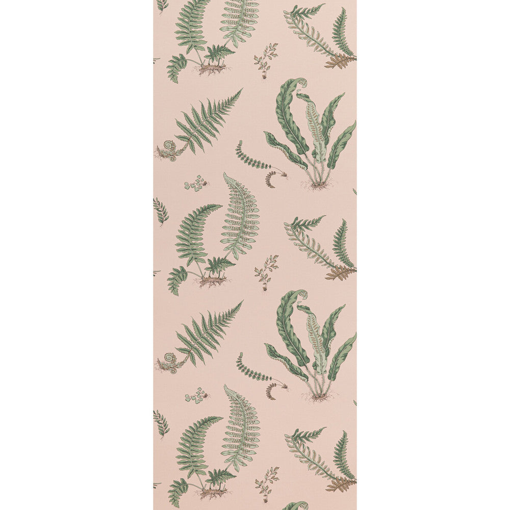 Ferns Blush by G P & J Baker Wallcovering G P & J Baker Wallcovering Ferns BlushWallcovering SIGNATURE II WALLPAPERS NON WOVEN - 100% United Kingdom </p><p>Repeat: H: 20.488, V: 20.882 20.488 - Fabric Carolina -