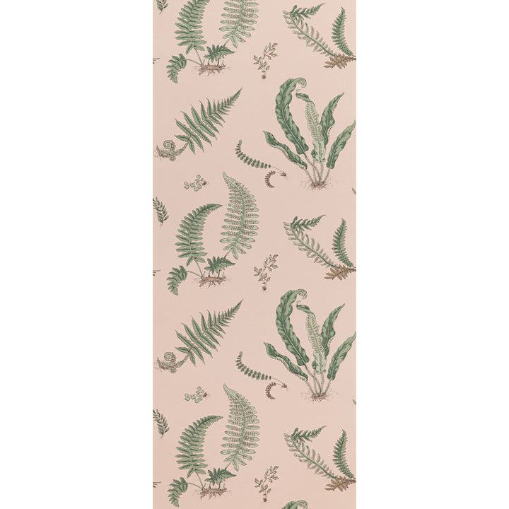 Ferns Blush by G P & J Baker Designer Wallcovering SIGNATURE II WALLPAPERS NON WOVEN - 100% United Kingdom Horizontal: 20.488 and Vertical: 20.882 20.488 - Swanky Fabrics -