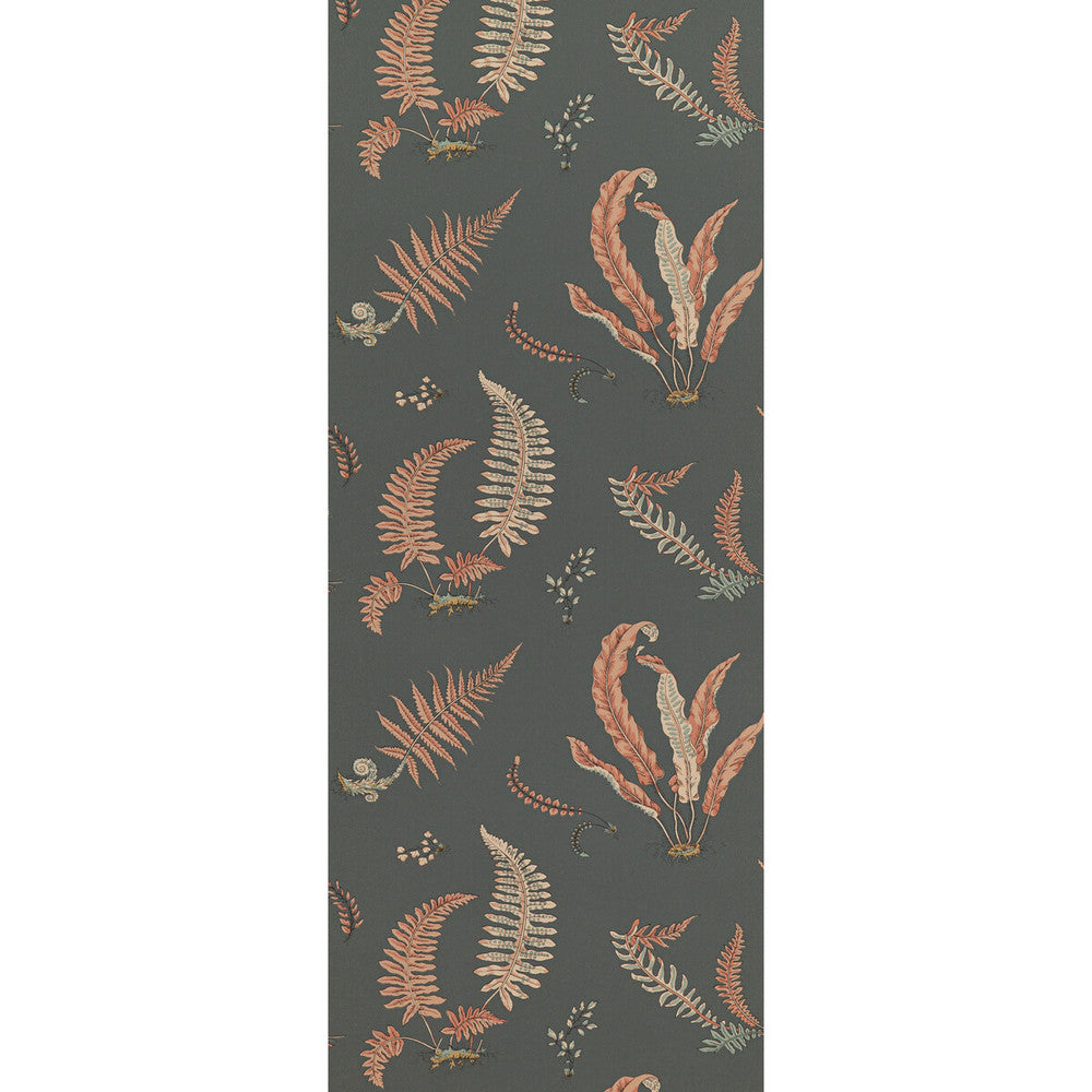 Ferns Coral/Charcoal by G P & J Baker Designer Wallcovering SIGNATURE II WALLPAPERS NON WOVEN - 100% United Kingdom Horizontal: 20.488 and Vertical: 20.882 20.488 - Swanky Fabrics -